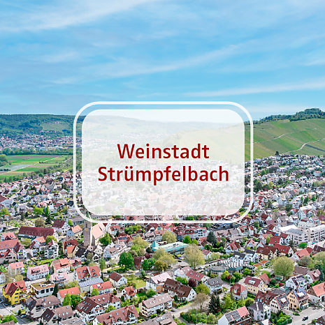 Foto Demn�chst | Einfamilienhaus in Weinstadt-Str�mpfelbach