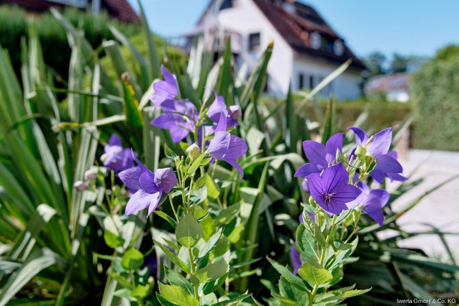Impression Zweifamilienhaus Rudersberg