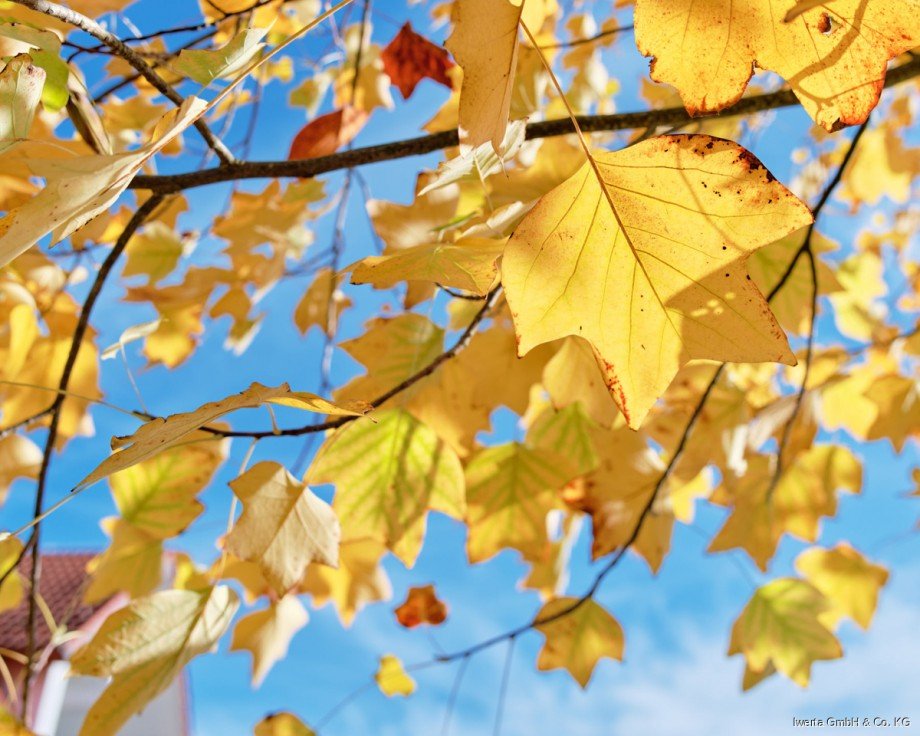 Impression Dachgeschosswohnung Schorndorf