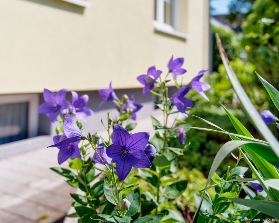 Impression Zweifamilienhaus Rudersberg