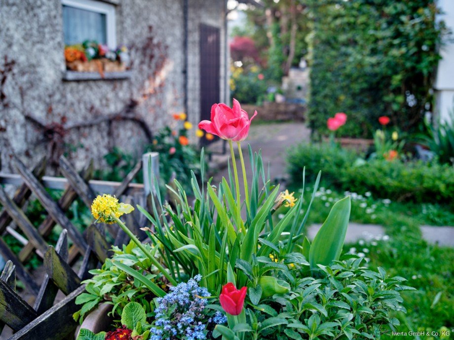 Impression Zweifamilienhaus Pl�derhausen