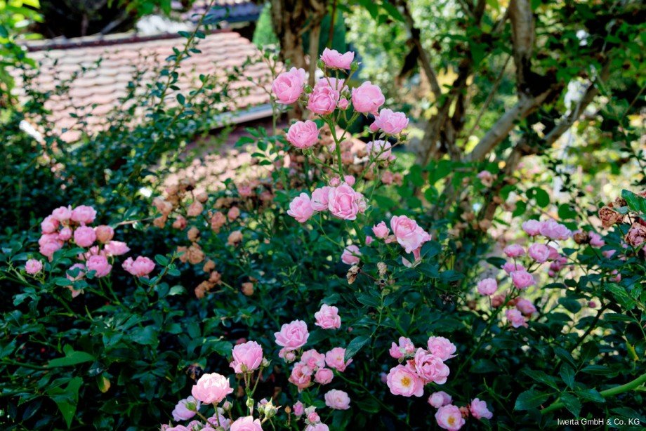 Impression Einfamilienhaus Remshalden
