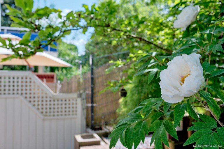 Impression Leinfelden-Echterdingen Erdgeschosswohnung Ein Ort zum Wurzeln schlagen - Wohnen mit Garten